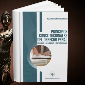 Portada del libro "Principios Constitucionales del Derecho Penal", que muestra el título y el nombre del autor.