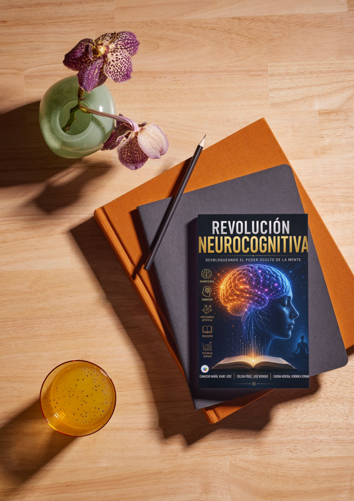 Revolución Neurocognitiva - Imagen 3